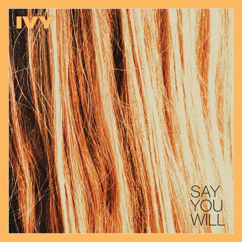 ivy-say_you_will